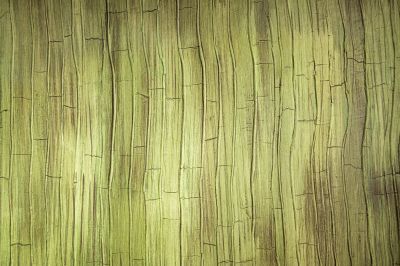 Decorative Textured Finishes